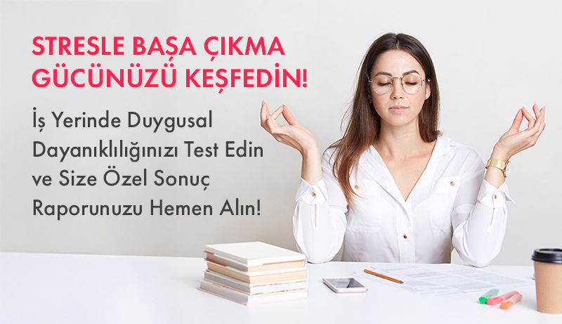 İş Yerinde Duygusal Dayanıklılık ve Stres Yönetimi Anketi